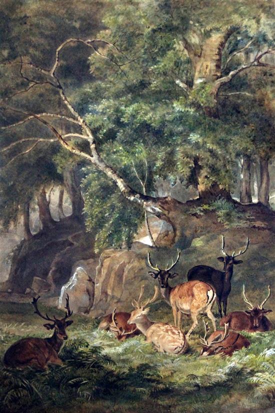 Robert Hills (1769-1844) Deer in Windsor Park 17.5 x 13in.